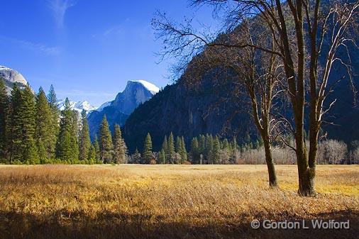 Yosemite Valley_23284.jpg - Photographed in Yosemite National Park, California, USA.